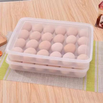 Egg Box (24 Pcs)